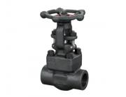 鍛鋼閘閥的顏色為什么通常都是黑色的呢？